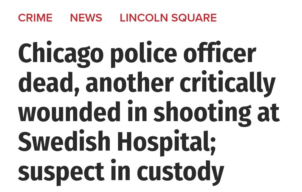 Chicago Cop tweet media