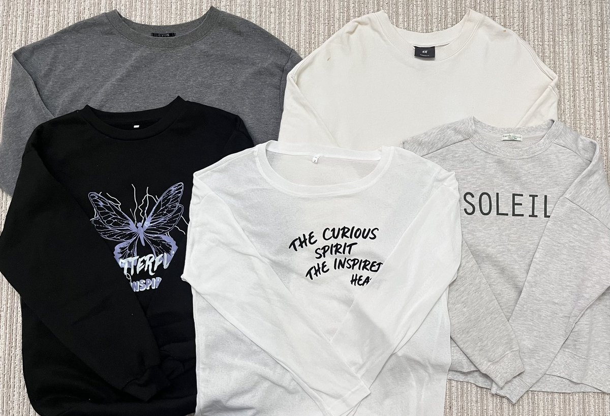 🐰 ⸝ ⸝ ⸝ tweet media