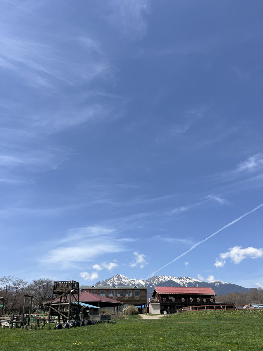 新海泳大（しんかい えいた） tweet media