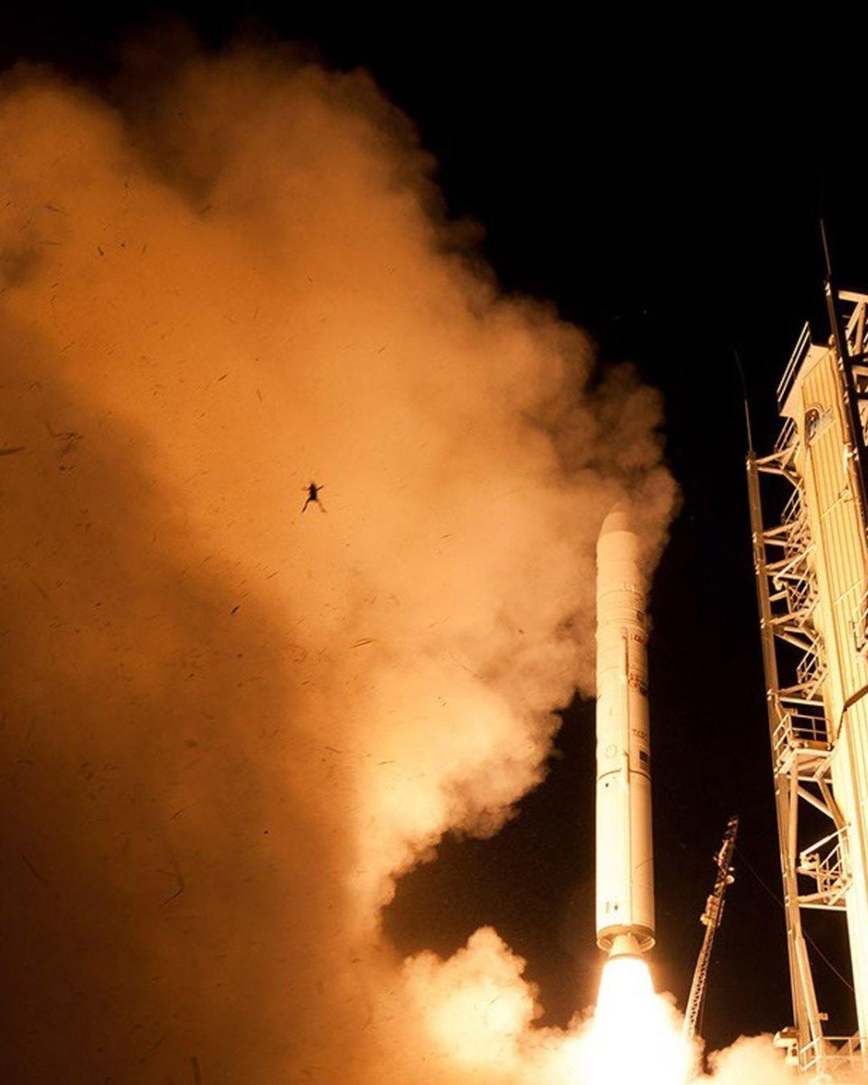 astrophilesz tweet media