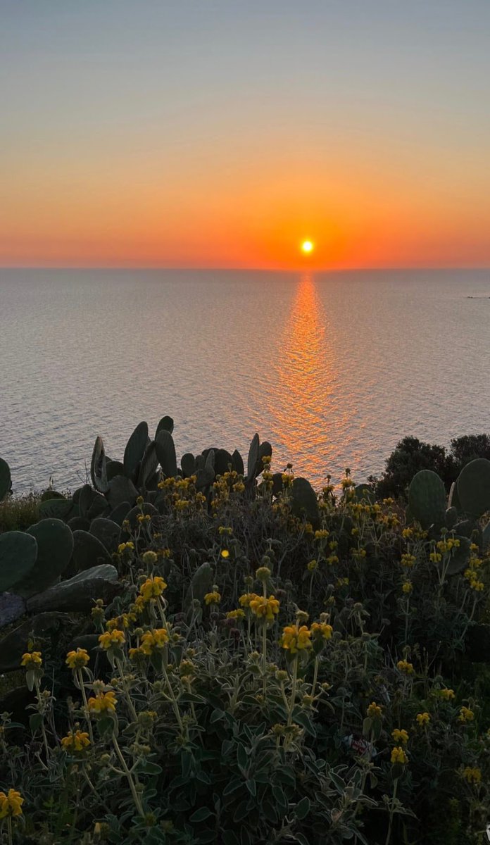 𝓐𝓷𝓷𝓪𝓵𝓲𝓼𝓪 tweet media