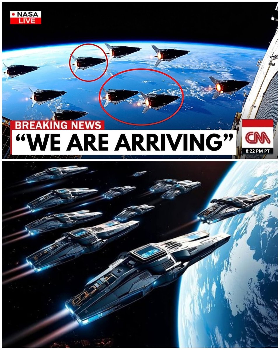 Collective Spark tweet media