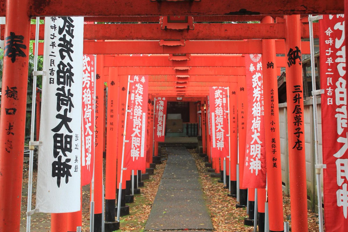 早稲田大学マスコミ研究会 tweet media