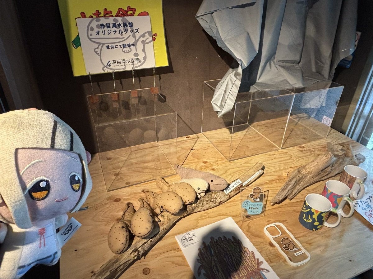 シェイ tweet media