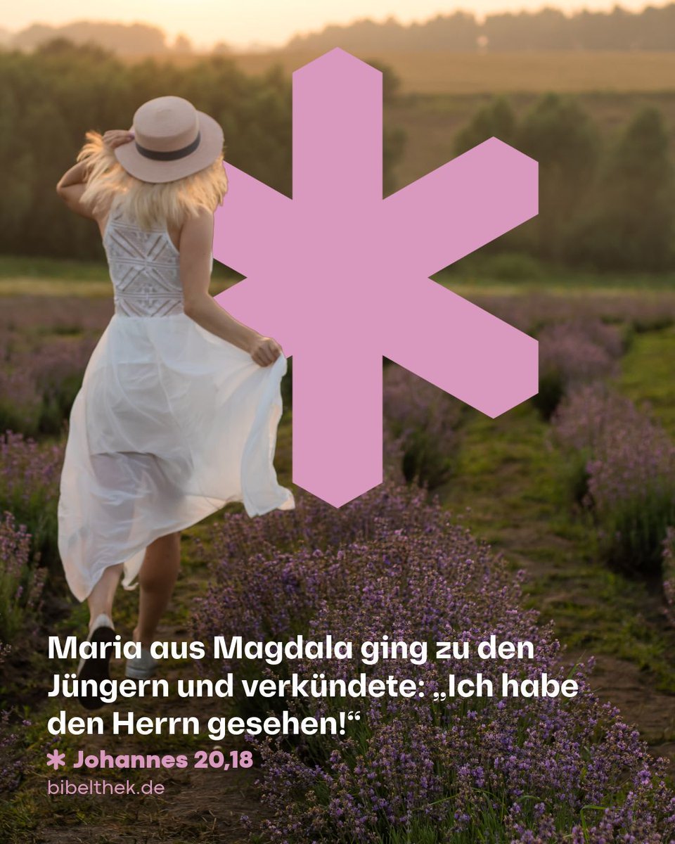 Bibel TV tweet media