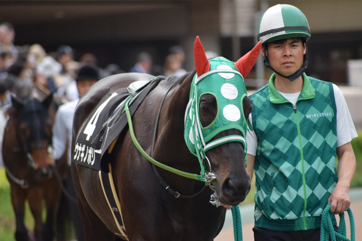 なほのウマ🐴💕 tweet media