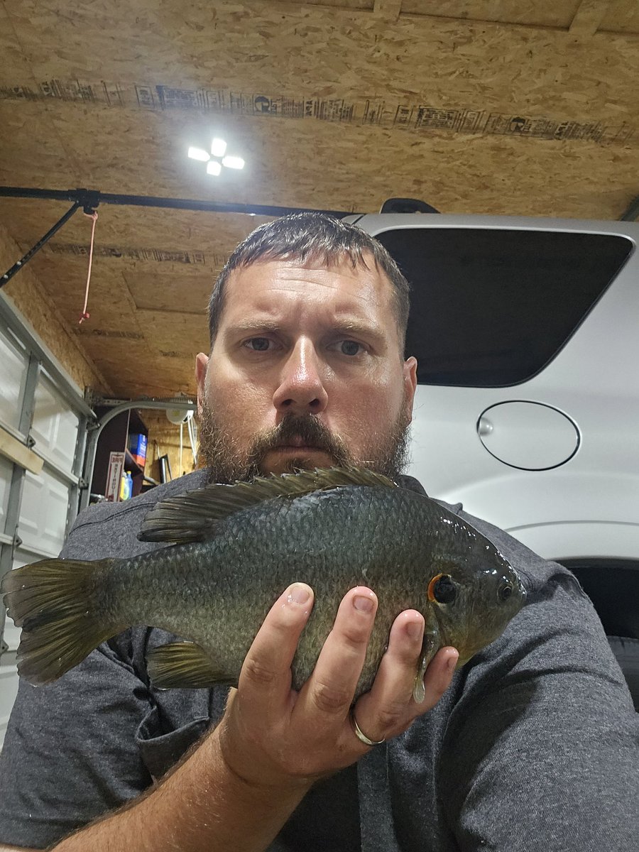 MatthewJessOutdoors tweet media