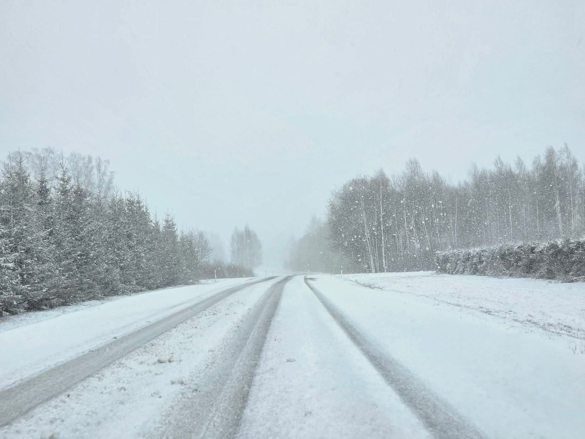 Kairo Kiitsak tweet media