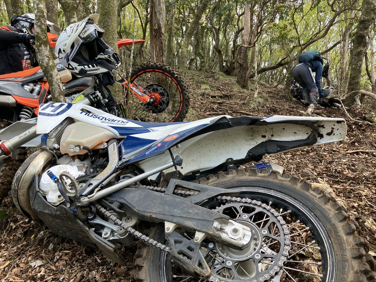 元てんちょ tweet media