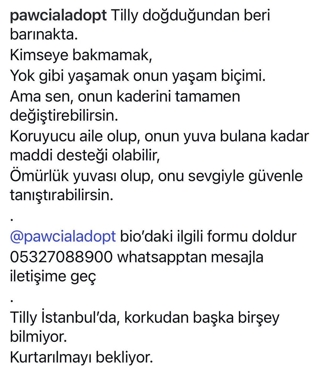 UzayMekanİnsan tweet media