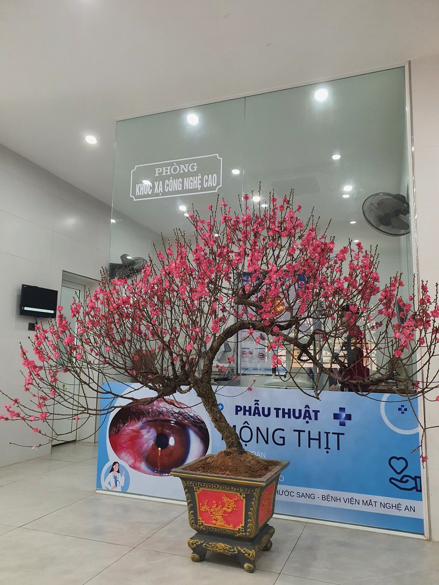 Murphy Cloe tweet media