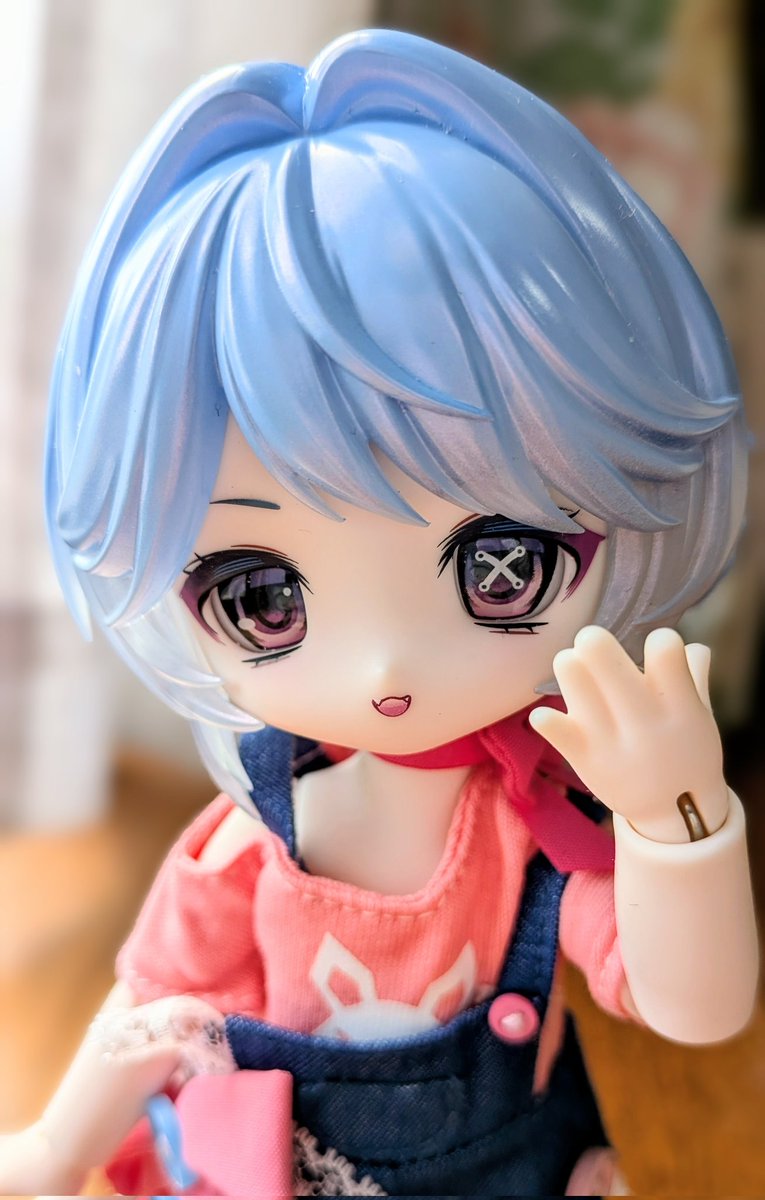 KayouPhoto's tweet photo. ランシーちゃんのこの片目が凄く凄く好きなんです https://t.co/bVC3NskiWt