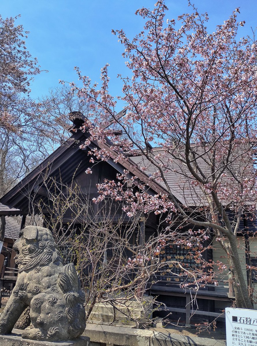 札幌が好きすぎる男の物語(たくお) tweet media