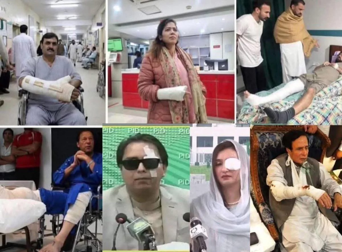 DR. Sahiba tweet media