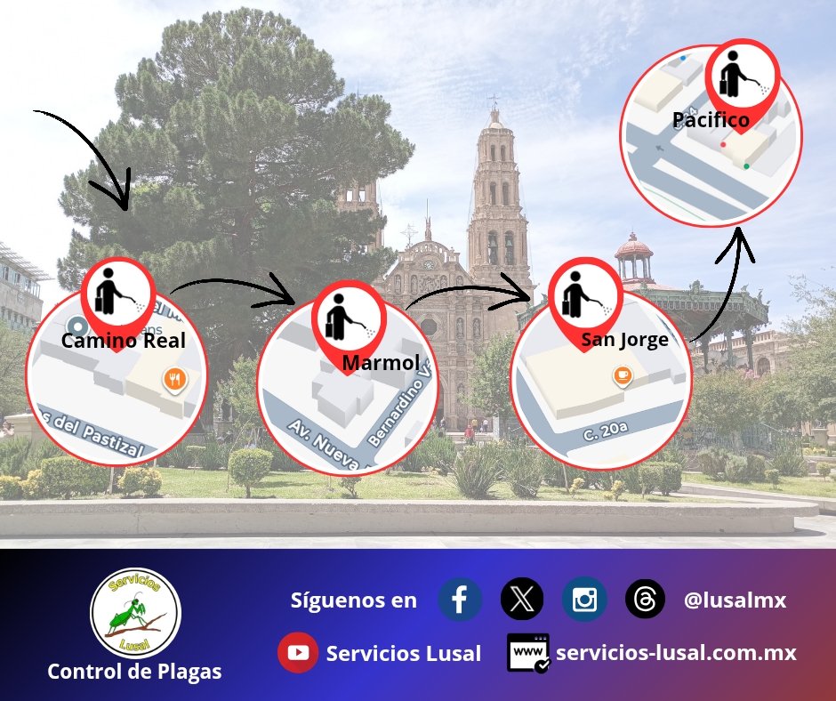lusalmx's tweet image. Terminando nuestra ruta de hoy. 😎🤚

Servicios Lusal -@lusalmx- especialistas en #controldeplagas #fumigacion #desinfeccion #cuu