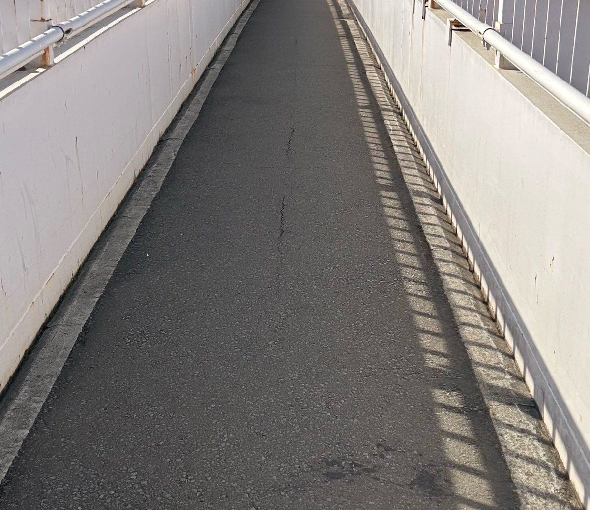 かんぺる🎚️ tweet media