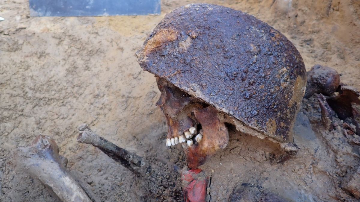 Archaeo - Histories tweet media