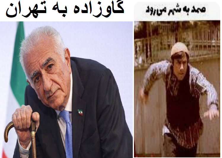 mohsen tweet media