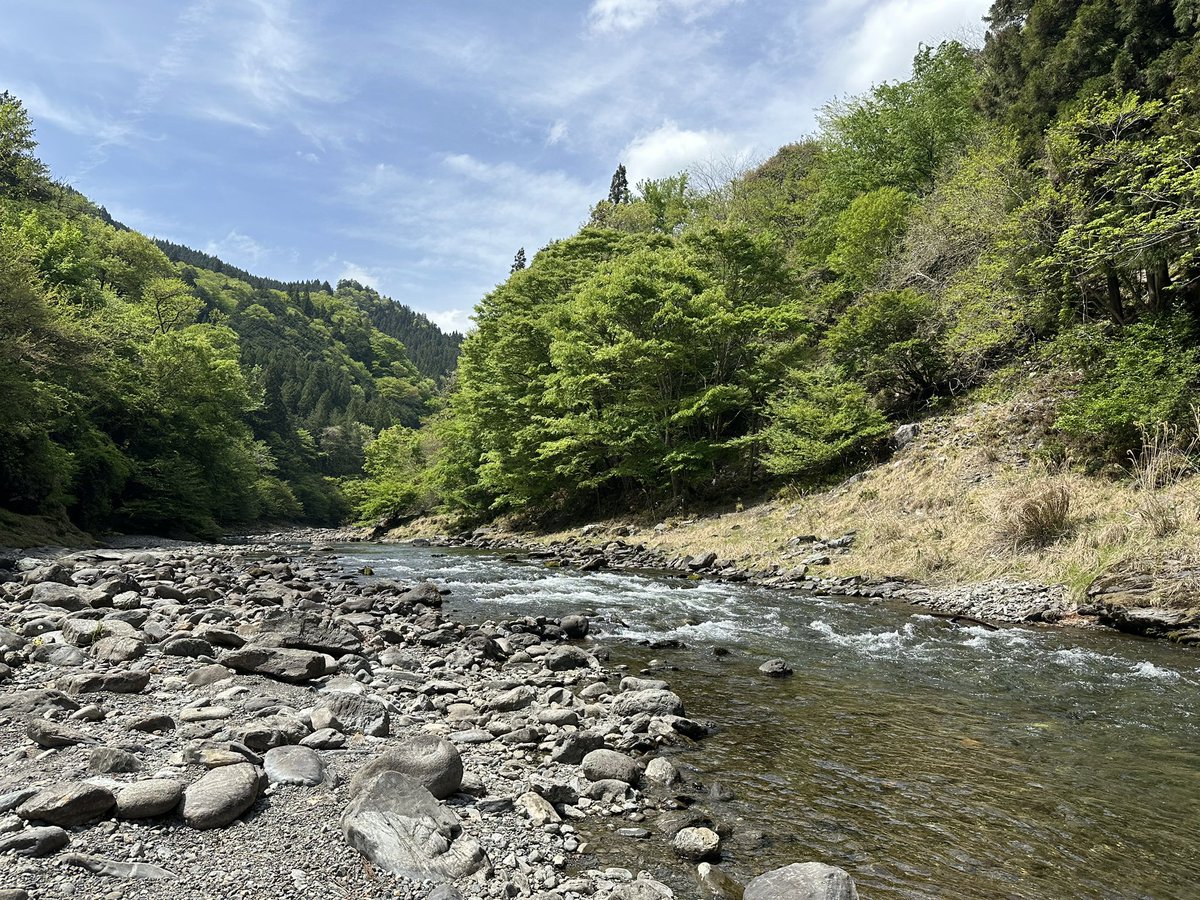 ぼちお tweet media
