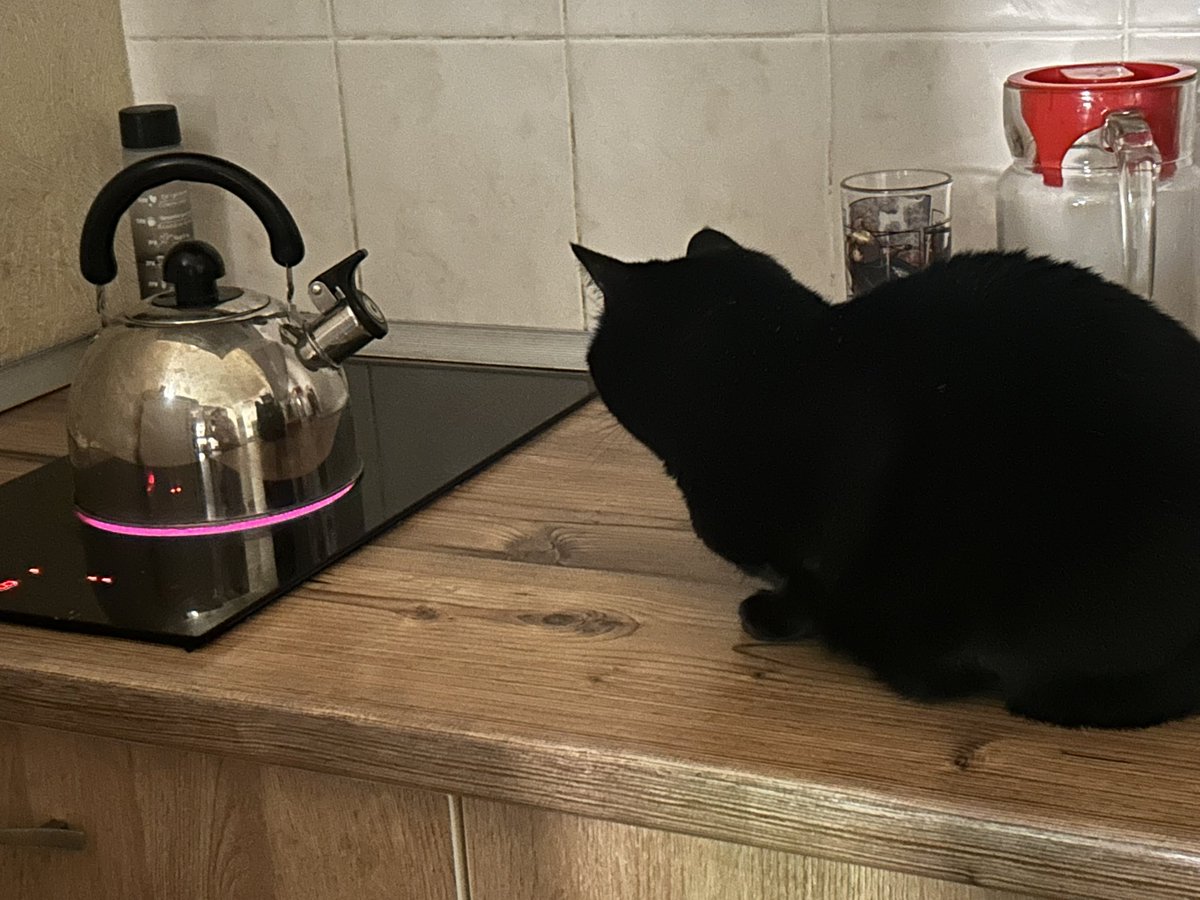 фреймер tweet media