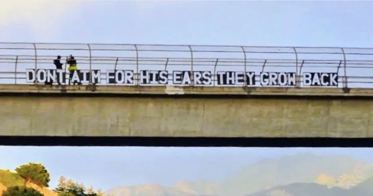 AlbexBalbex4Eva tweet media