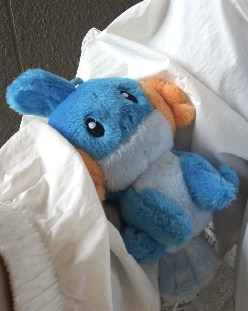 물짱이 안고 외출 ♪