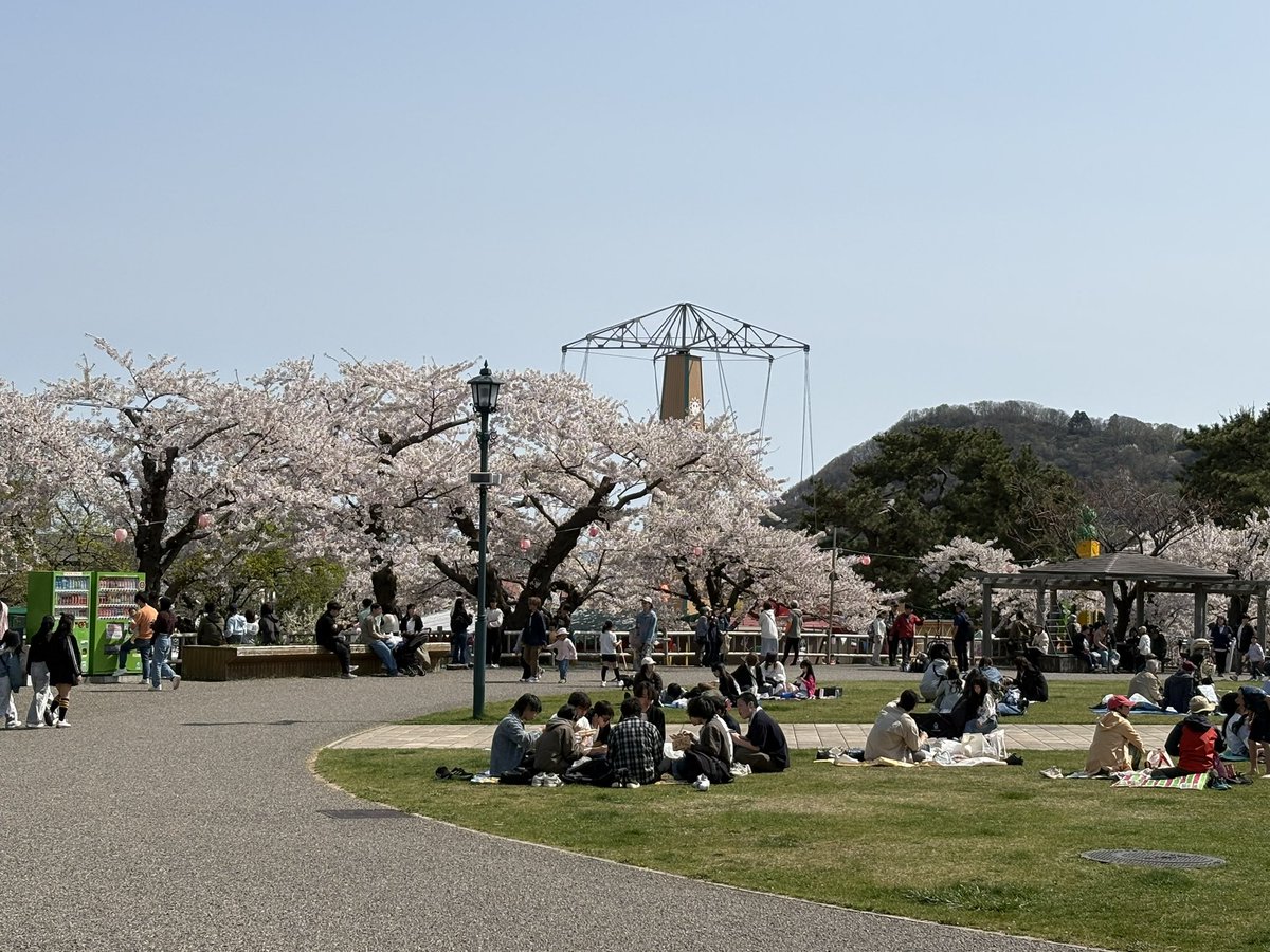 🍒パTrash🍒 tweet media