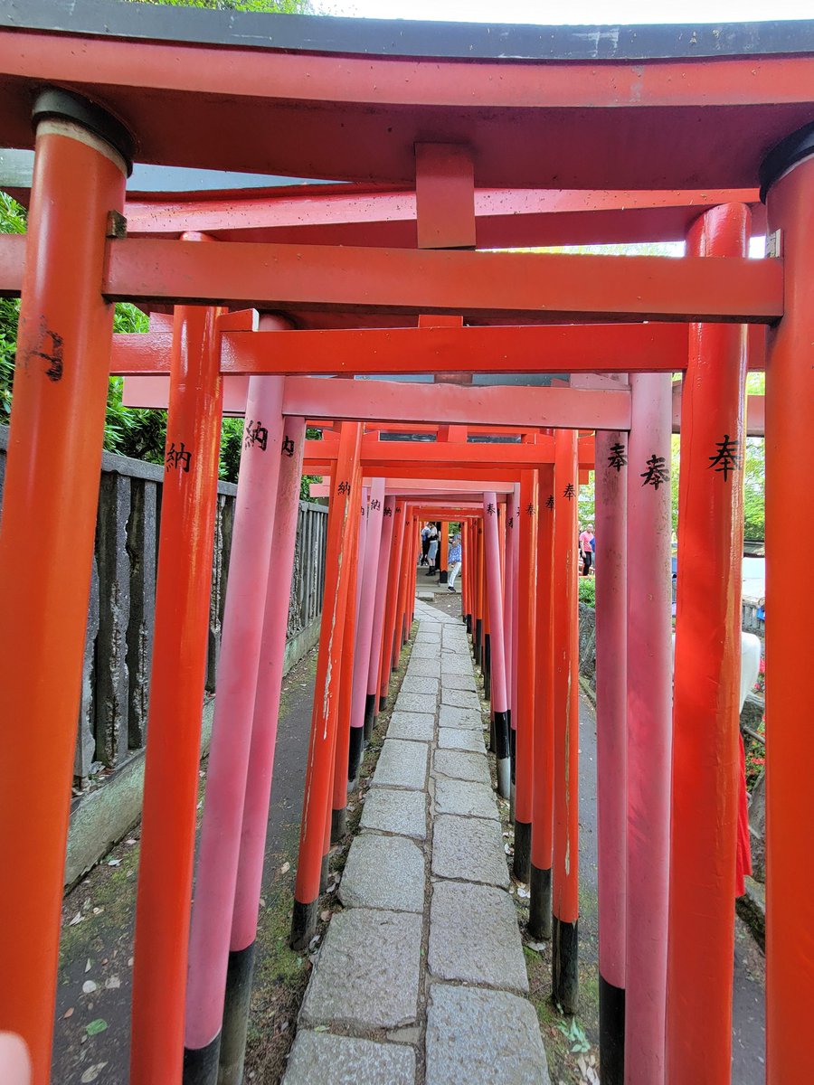 千駄木二丁目西町会(中の人たち) tweet media