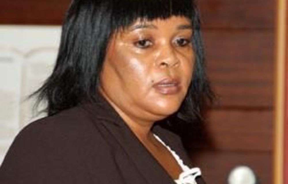Sunflower tweet media