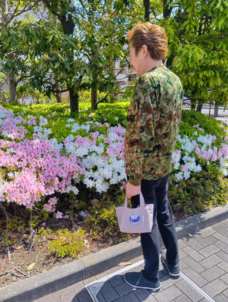 鍋家黒潮 tweet media