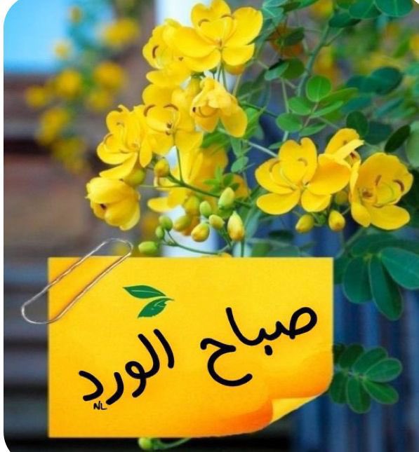 عمر مسابا tweet media