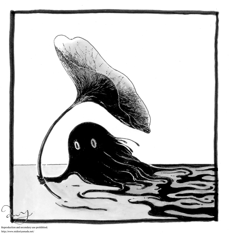 midori yamada tweet media