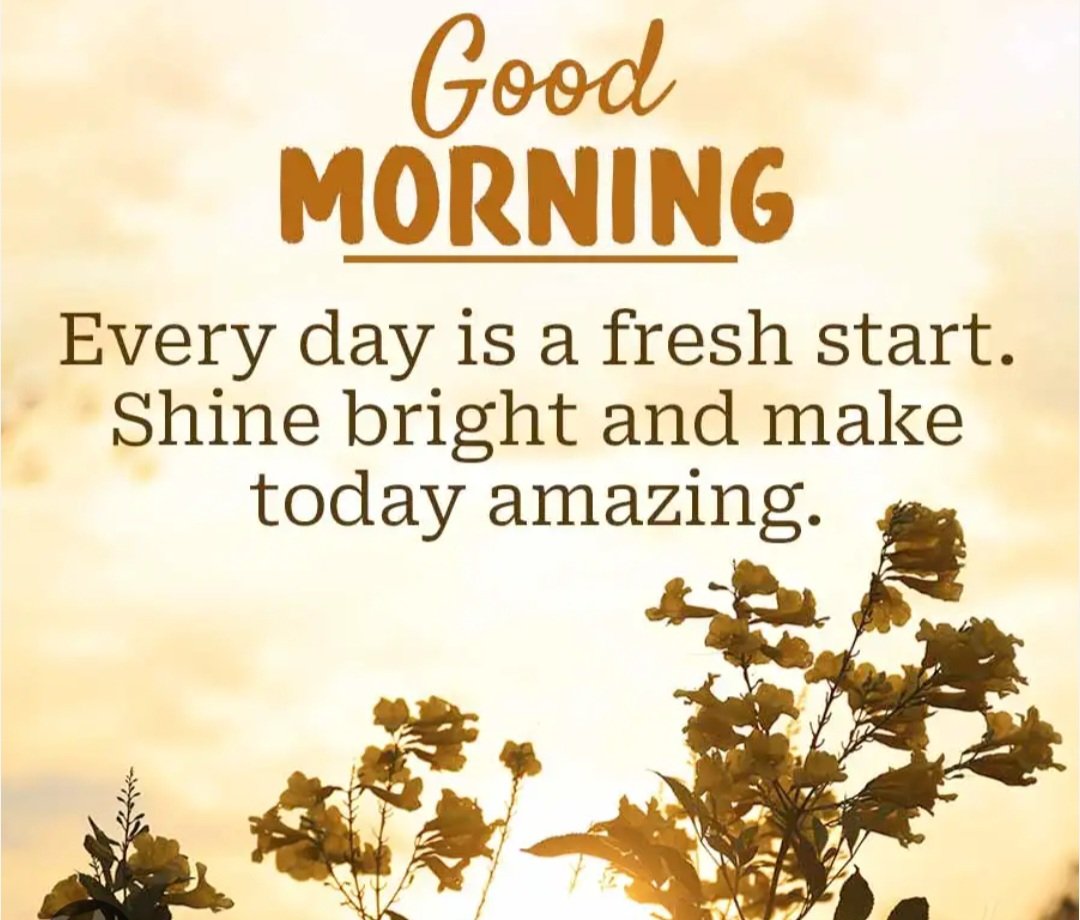 🌸🌸 tweet media