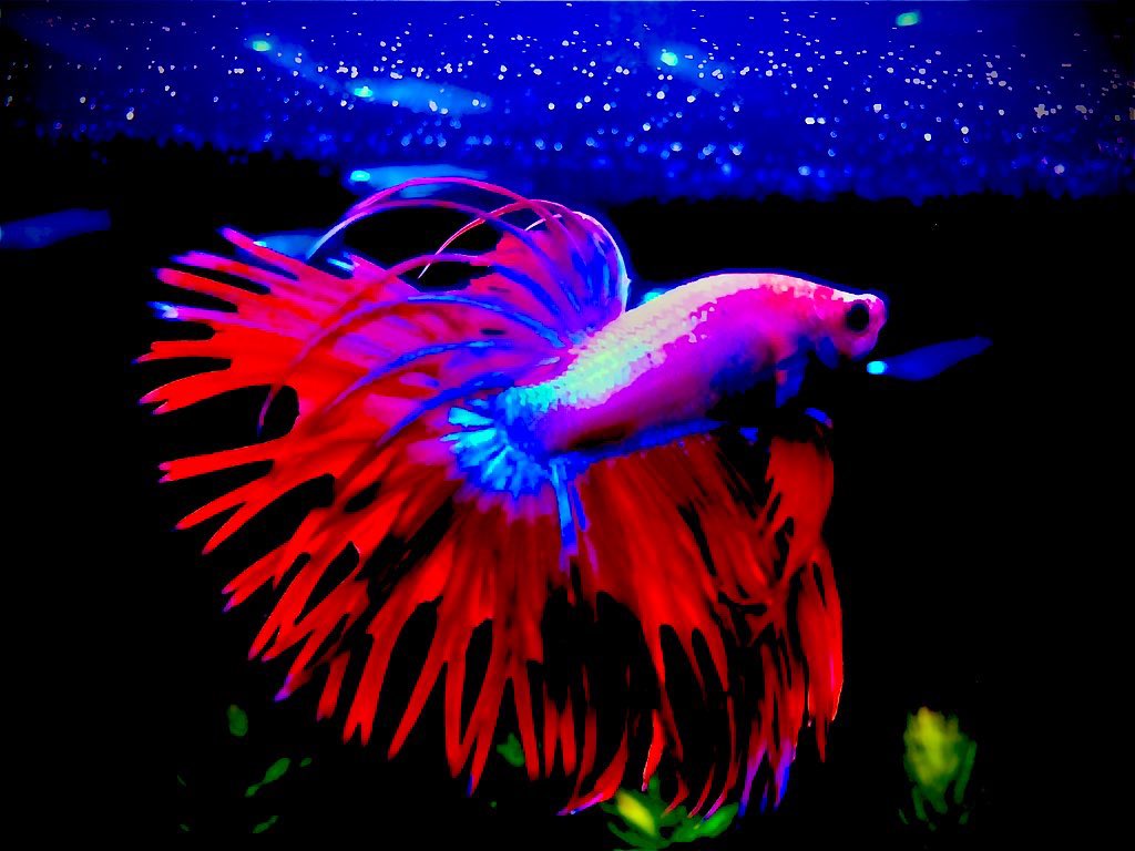 hiroStudio_430's tweet image. 【みなとアクア】
ベタ来ました！ 

 #Remix 
remix-net.co.jp/?p=881281

⬇️クラウンテール