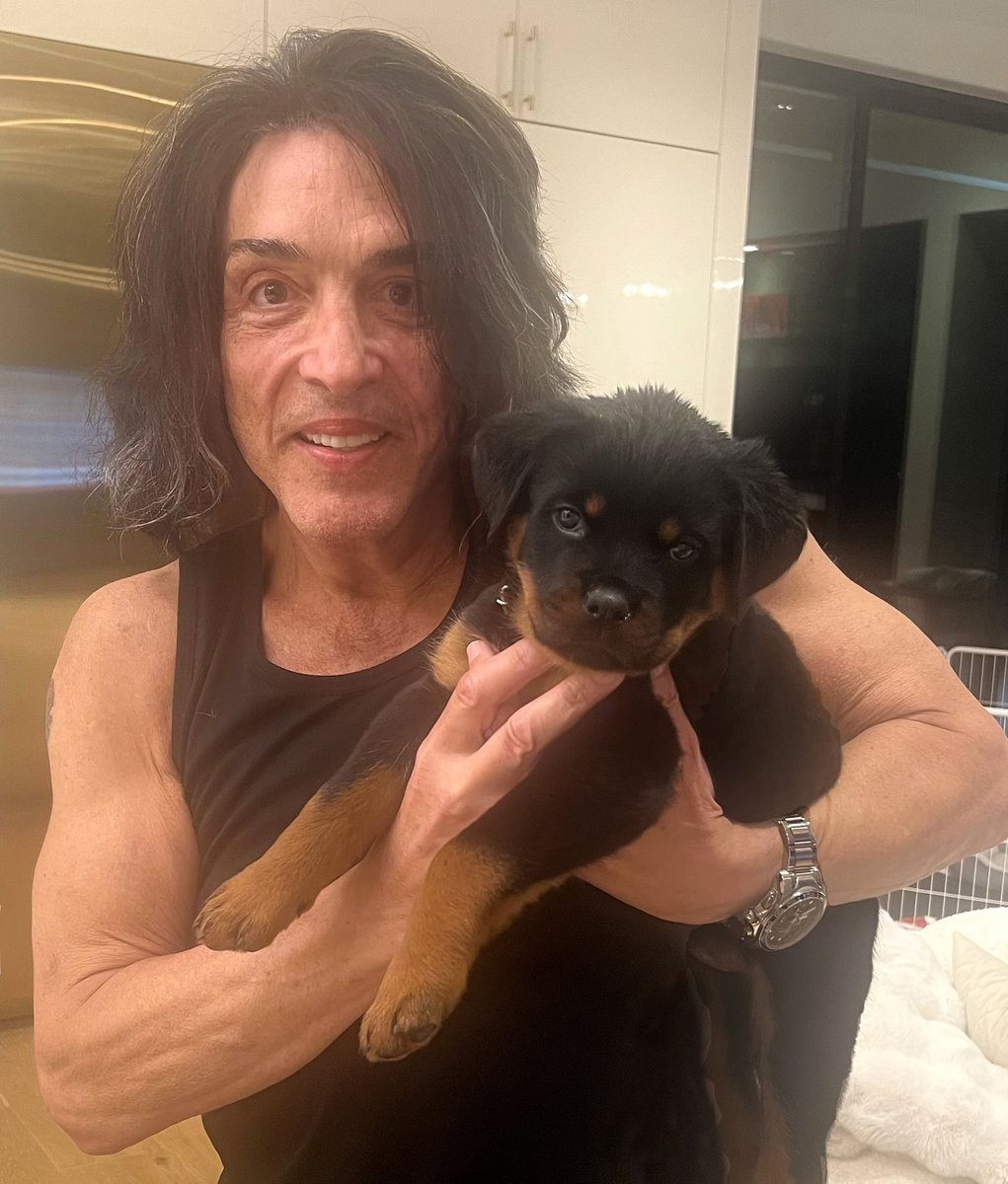 Paul Stanley tweet media