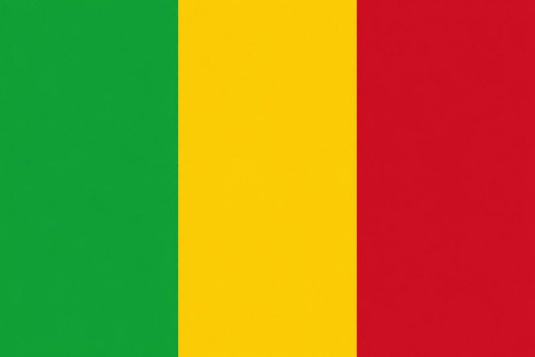 One_Alasco's tweet photo. 🚨🚨💢Soutien total et sans faille au Mali 🇲🇱. Les impérialistes ne gagneront JAMAIS. 👊🏾🦾✊🏾 https://t.co/UtVpAG560j
