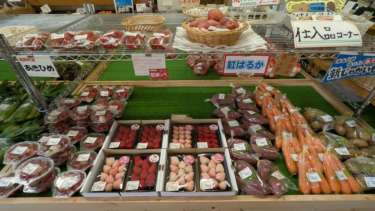 mitamanoyu's tweet photo. 渡邊です😊。
のっぷい農産物直売所よりお知らせです。

特産のとうもろこし🌽ベビーコーンが入荷しました。入荷はまだまだ少量ですが、これから徐々に増えていく見込みです。

品種は「甘々娘」と「ミルフィーユ」の2種類のベビーコーンです。2つとも大きな味の違いはありませんが、食べ比べをしてみてはいかがでしょうか？。お待ちしております😊。
