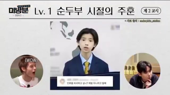 🐢🐶 tweet media