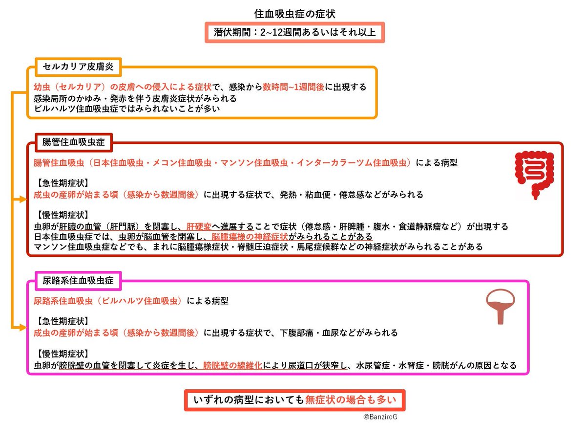 🍹グァバちゃん tweet media