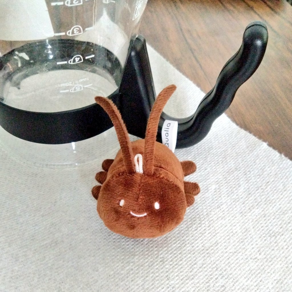 ｷｯｯｯｯｯｯ