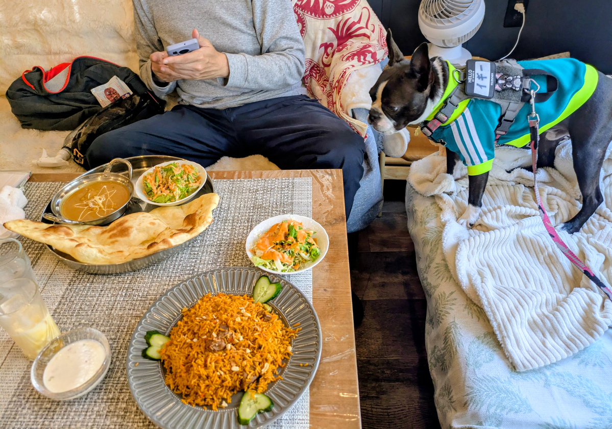 Ｋ(仮名)【ピエラー】 tweet media