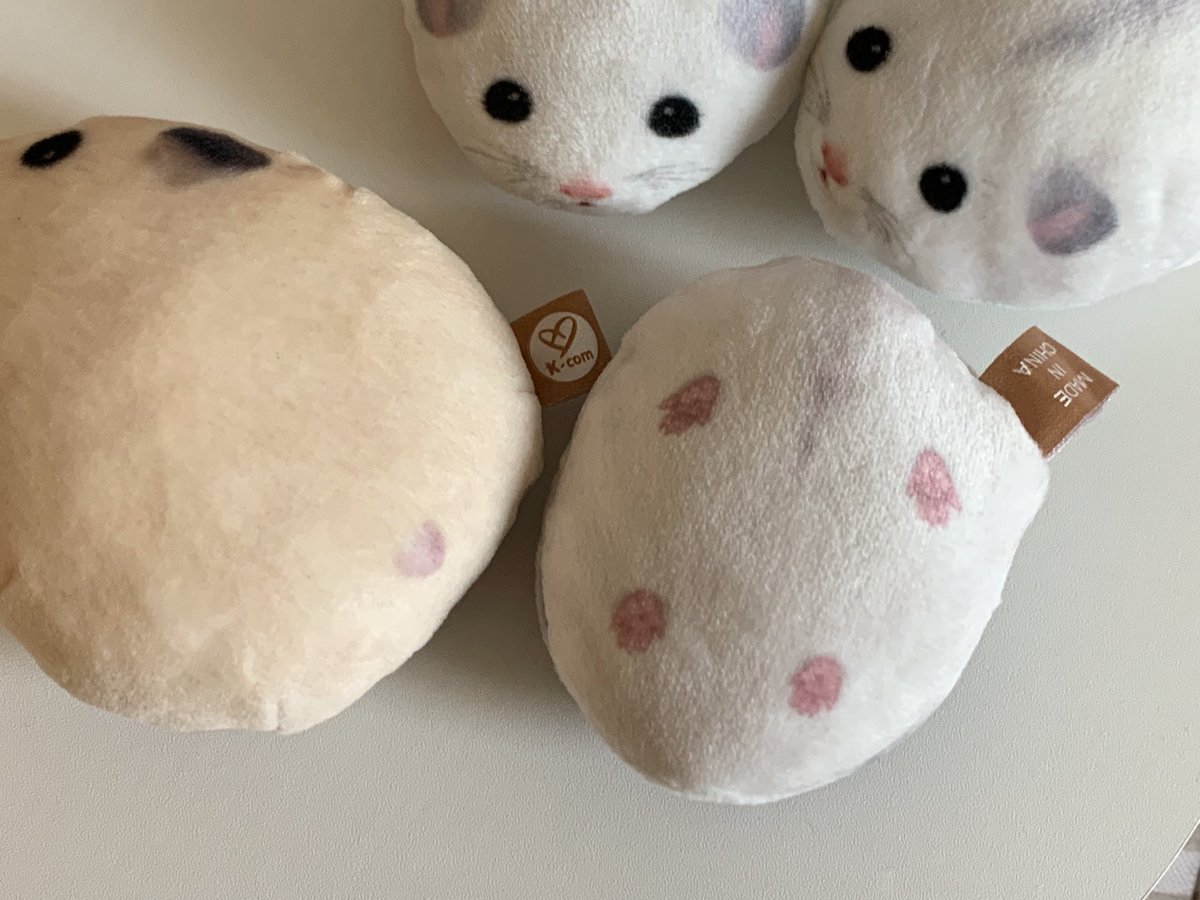 ⋆ ᴍᴏᴏᴅʏᴄʟᴜʙ ⋆ 무디클럽 tweet media