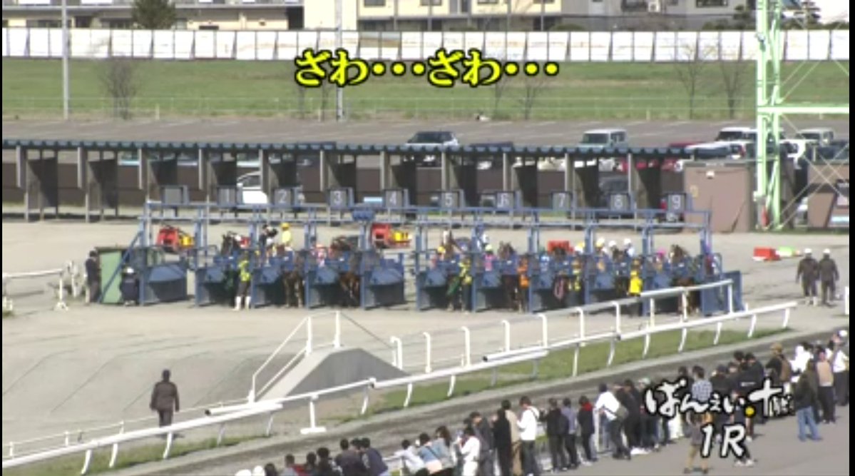 netkeiba tweet media