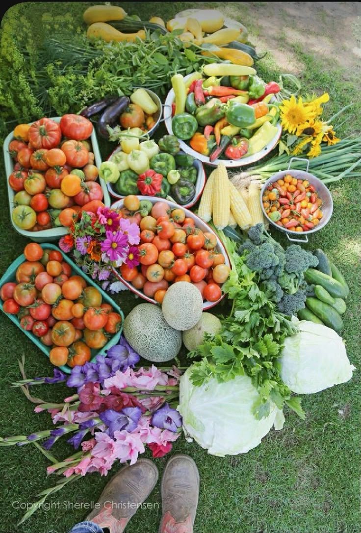 🍃🕊️ tweet media