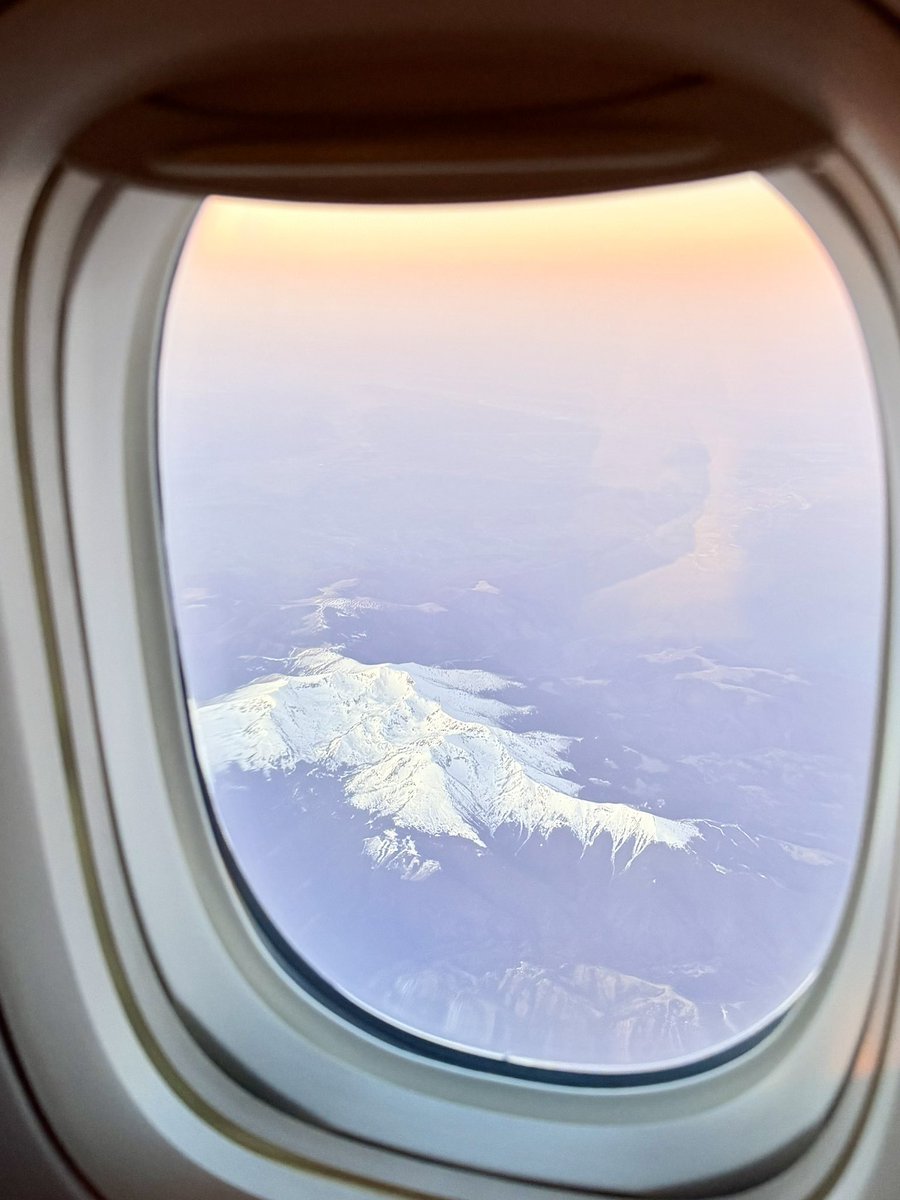 Natsha T.🧸 tweet media