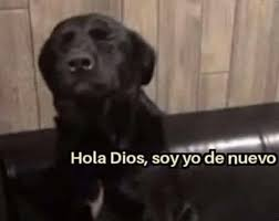 Eder-TEC tweet media