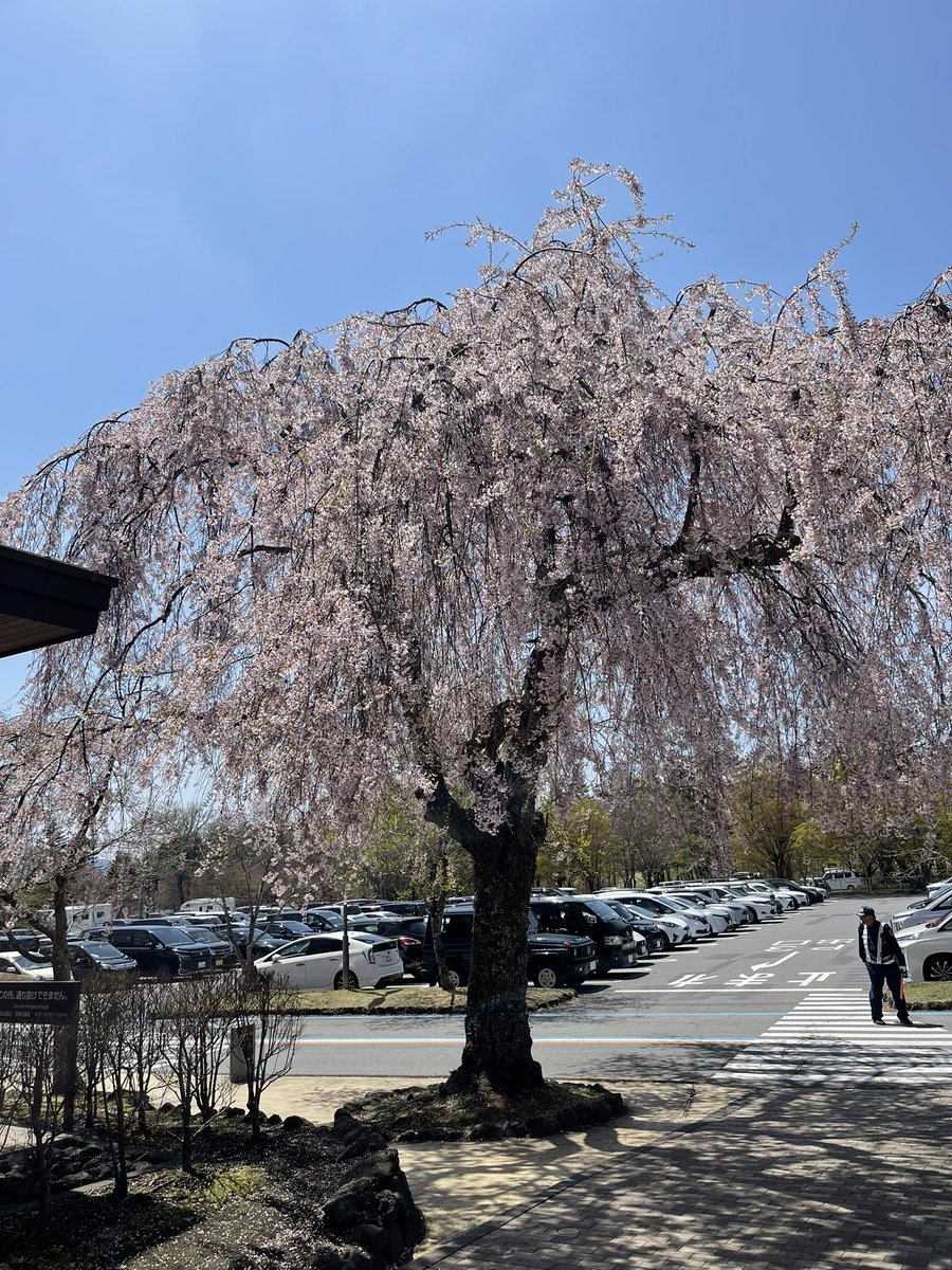 倉石竜也 シニア向けスマホ・パソコン教室みっぷす tweet media
