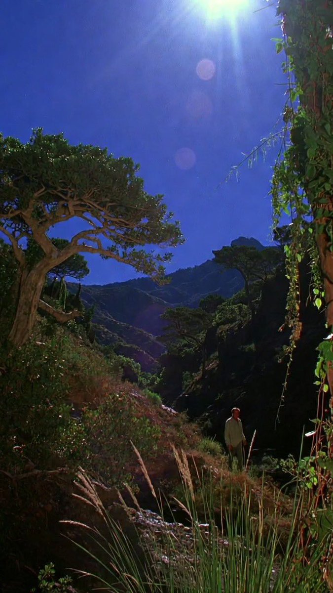 Actiongirls Scotty JX The Brand Son tweet media