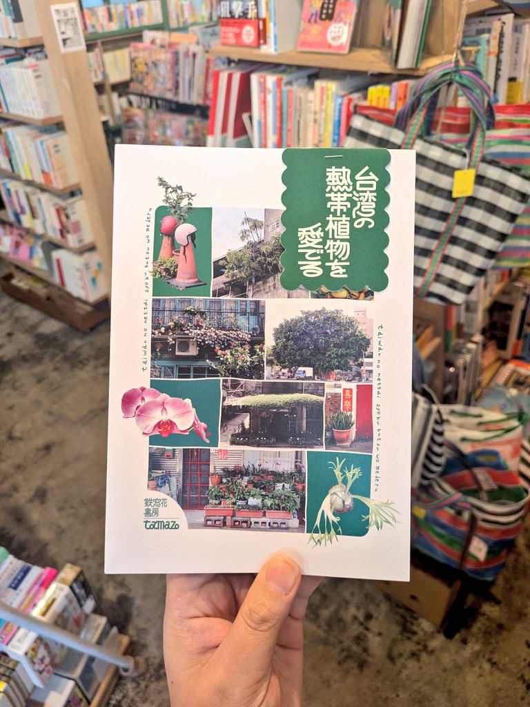 本町文化堂📖（2024/3/16開店） tweet media