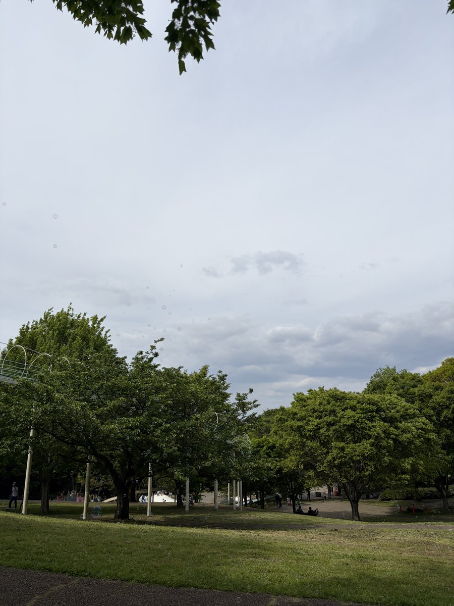 ち り み な tweet media